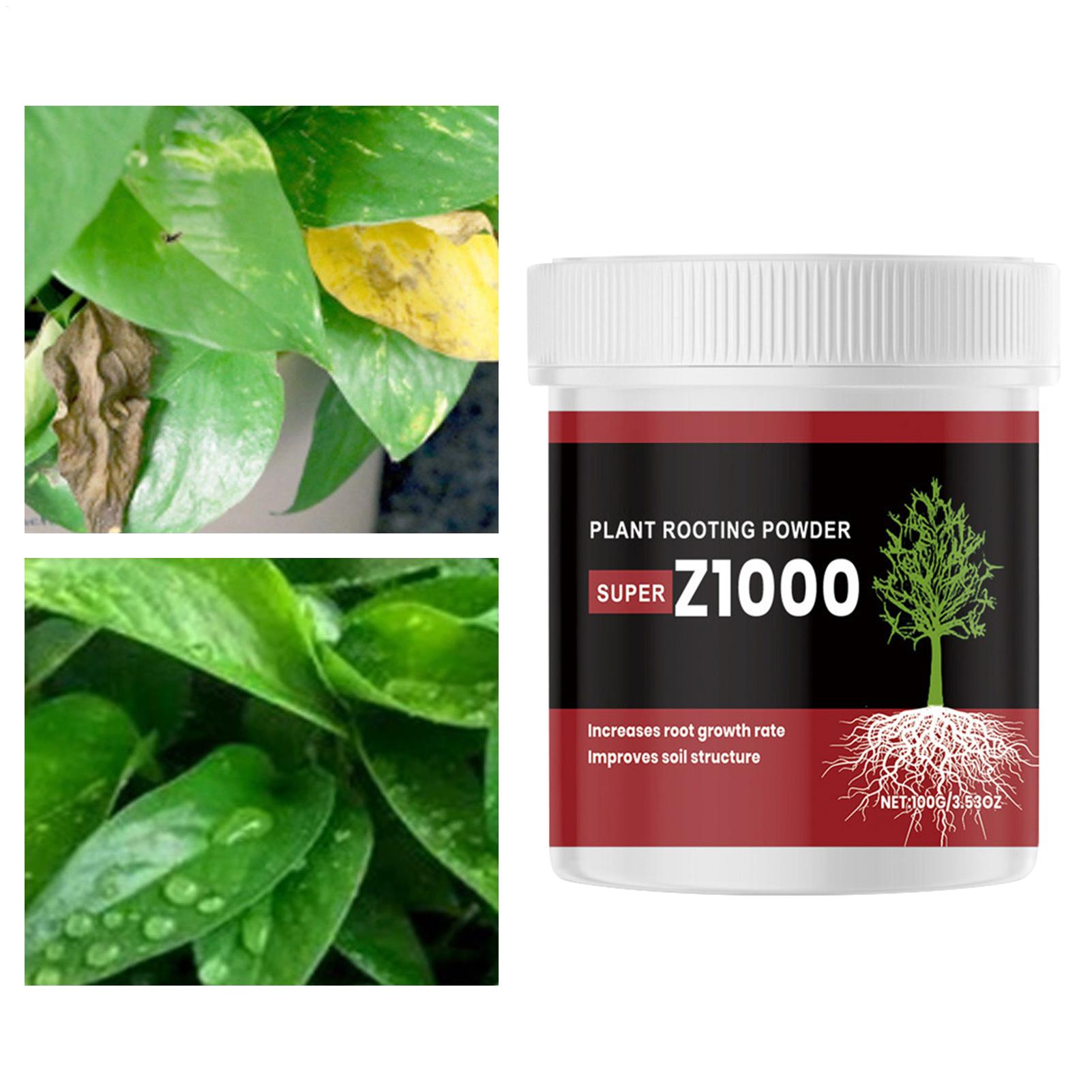 Rooting Ho Rmone Powder For Pl - Root Stimulator Liquid 评论和价格