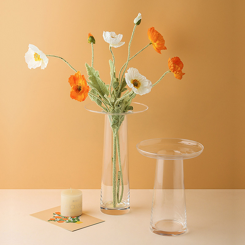 LIVETAI Transparent T-Shape Hy - Propagation Station Vase 评论和价格