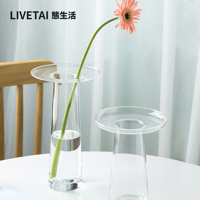 LIVETAI Transparent T-Shape Hy - Propagation Station Vase 评论和价格