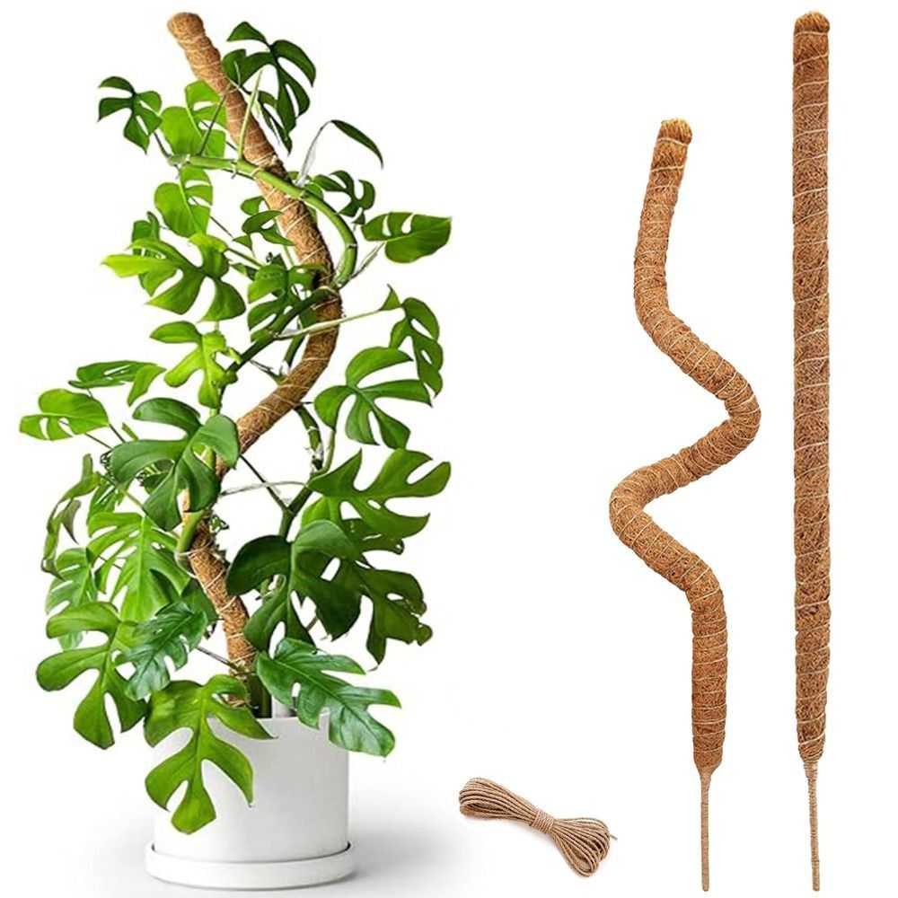 Plant Support Bendable Moss Po - Sphagnum Moss Dry 评论和价格