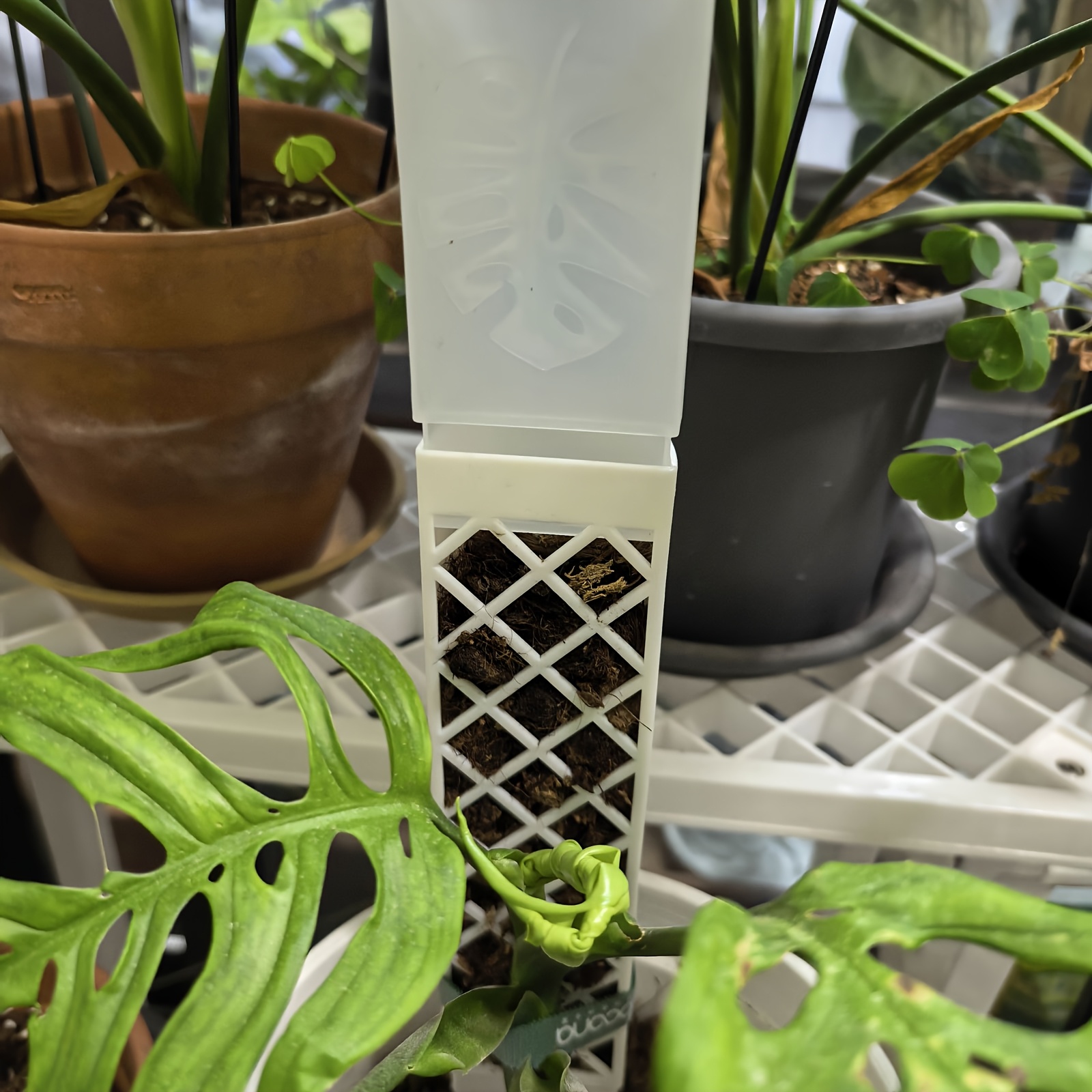 1PC Adjustable D-Shaped Self-W - Sphagnum Moss Dry 评论和价格